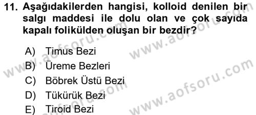 Temel Veteriner Biyokimya Dersi 2017 - 2018 Yılı 3 Ders Sınav Soruları 11. Soru