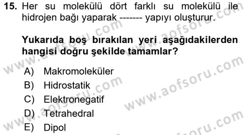 Temel Veteriner Biyokimya Dersi 2017 - 2018 Yılı 3 Ders Sınav Soruları 15. Soru