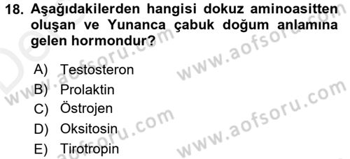 Temel Veteriner Biyokimya Dersi 2017 - 2018 Yılı 3 Ders Sınavı 18. Soru