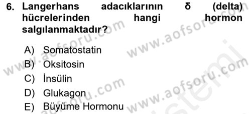 Temel Veteriner Biyokimya Dersi 2017 - 2018 Yılı 3 Ders Sınav Soruları 6. Soru