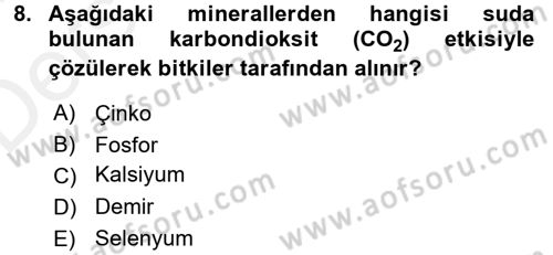 Temel Veteriner Biyokimya Dersi 2017 - 2018 Yılı 3 Ders Sınav Soruları 8. Soru