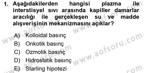 Temel Veteriner Biyokimya Dersi 2017 - 2018 Yılı (Vize) Ara Sınavı 1. Soru