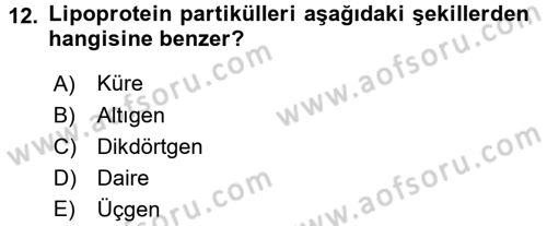 Temel Veteriner Biyokimya Dersi 2017 - 2018 Yılı (Vize) Ara Sınavı 12. Soru