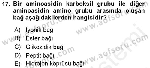 Temel Veteriner Biyokimya Dersi 2017 - 2018 Yılı (Vize) Ara Sınavı 17. Soru