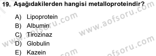 Temel Veteriner Biyokimya Dersi 2017 - 2018 Yılı (Vize) Ara Sınavı 19. Soru