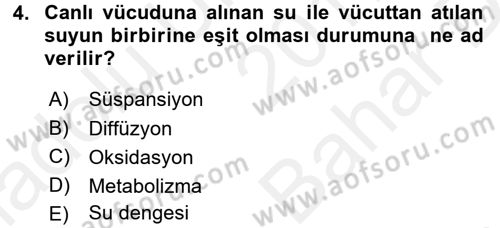 Temel Veteriner Biyokimya Dersi 2017 - 2018 Yılı (Vize) Ara Sınavı 4. Soru