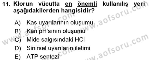 Temel Veteriner Biyokimya Dersi 2017 - 2018 Yılı (Final) Dönem Sonu Sınav Soruları 11. Soru
