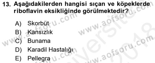 Temel Veteriner Biyokimya Dersi 2017 - 2018 Yılı (Final) Dönem Sonu Sınav Soruları 13. Soru
