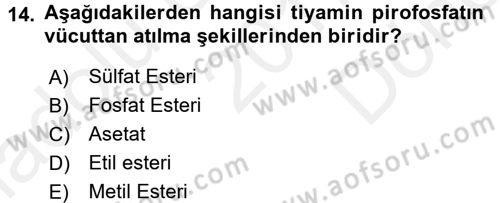 Temel Veteriner Biyokimya Dersi 2017 - 2018 Yılı (Final) Dönem Sonu Sınav Soruları 14. Soru