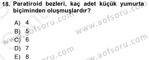 Temel Veteriner Biyokimya Dersi 2017 - 2018 Yılı (Final) Dönem Sonu Sınav Soruları 18. Soru