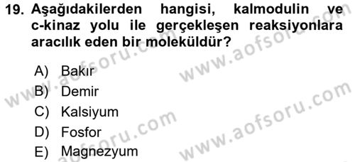 Temel Veteriner Biyokimya Dersi 2017 - 2018 Yılı (Final) Dönem Sonu Sınav Soruları 19. Soru