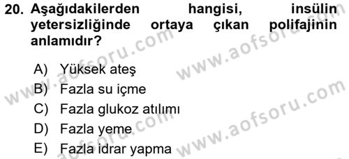 Temel Veteriner Biyokimya Dersi 2017 - 2018 Yılı (Final) Dönem Sonu Sınav Soruları 20. Soru