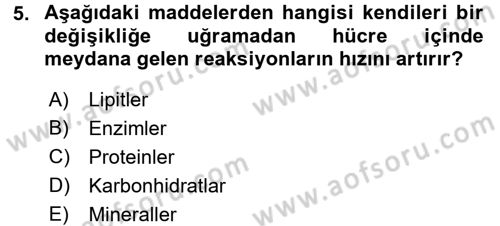 Temel Veteriner Biyokimya Dersi 2017 - 2018 Yılı (Final) Dönem Sonu Sınav Soruları 5. Soru