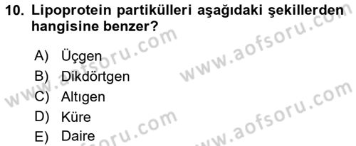 Temel Veteriner Biyokimya Dersi 2018 - 2019 Yılı 3 Ders Sınav Soruları 10. Soru