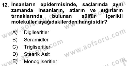 Temel Veteriner Biyokimya Dersi 2018 - 2019 Yılı 3 Ders Sınav Soruları 12. Soru