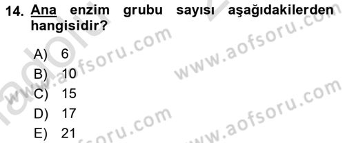 Temel Veteriner Biyokimya Dersi 2018 - 2019 Yılı 3 Ders Sınav Soruları 14. Soru