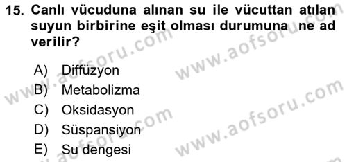 Temel Veteriner Biyokimya Dersi 2018 - 2019 Yılı 3 Ders Sınav Soruları 15. Soru