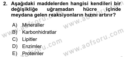 Temel Veteriner Biyokimya Dersi 2018 - 2019 Yılı 3 Ders Sınav Soruları 2. Soru