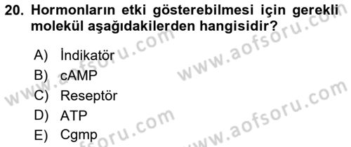 Temel Veteriner Biyokimya Dersi 2018 - 2019 Yılı 3 Ders Sınav Soruları 20. Soru