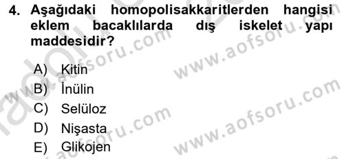 Temel Veteriner Biyokimya Dersi 2018 - 2019 Yılı 3 Ders Sınav Soruları 4. Soru