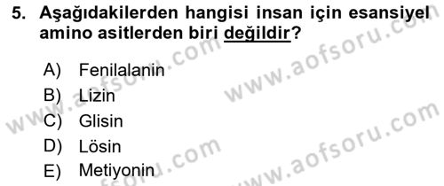 Temel Veteriner Biyokimya Dersi 2018 - 2019 Yılı 3 Ders Sınav Soruları 5. Soru