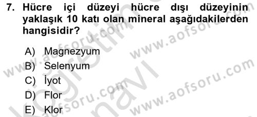 Temel Veteriner Biyokimya Dersi 2018 - 2019 Yılı 3 Ders Sınav Soruları 7. Soru