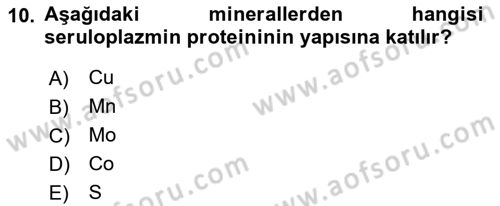 Temel Veteriner Biyokimya Dersi 2018 - 2019 Yılı (Final) Dönem Sonu Sınav Soruları 10. Soru