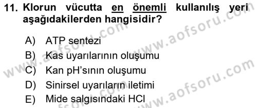 Temel Veteriner Biyokimya Dersi 2018 - 2019 Yılı (Final) Dönem Sonu Sınav Soruları 11. Soru