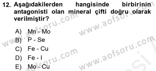 Temel Veteriner Biyokimya Dersi 2018 - 2019 Yılı (Final) Dönem Sonu Sınav Soruları 12. Soru