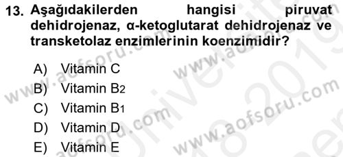 Temel Veteriner Biyokimya Dersi 2018 - 2019 Yılı (Final) Dönem Sonu Sınav Soruları 13. Soru