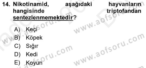 Temel Veteriner Biyokimya Dersi 2018 - 2019 Yılı (Final) Dönem Sonu Sınav Soruları 14. Soru