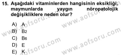 Temel Veteriner Biyokimya Dersi 2018 - 2019 Yılı (Final) Dönem Sonu Sınav Soruları 15. Soru