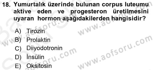Temel Veteriner Biyokimya Dersi 2018 - 2019 Yılı (Final) Dönem Sonu Sınav Soruları 18. Soru