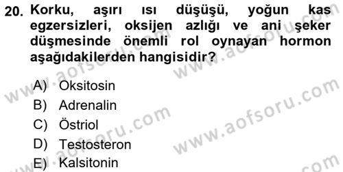 Temel Veteriner Biyokimya Dersi 2018 - 2019 Yılı (Final) Dönem Sonu Sınav Soruları 20. Soru