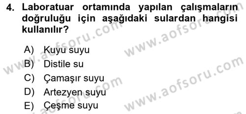 Temel Veteriner Biyokimya Dersi 2018 - 2019 Yılı (Final) Dönem Sonu Sınav Soruları 4. Soru