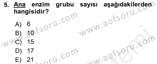 Temel Veteriner Biyokimya Dersi 2018 - 2019 Yılı (Final) Dönem Sonu Sınav Soruları 5. Soru