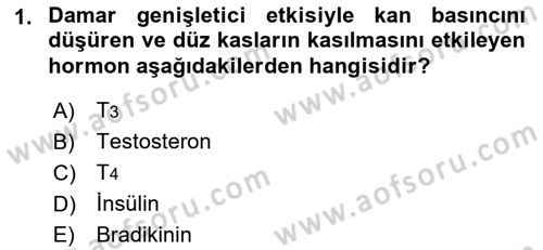 Temel Veteriner Biyokimya Dersi 2018 - 2019 Yılı Yaz Okulu Sınavı 1. Soru