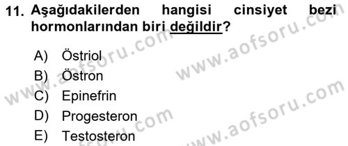 Temel Veteriner Biyokimya Dersi 2018 - 2019 Yılı Yaz Okulu Sınavı 11. Soru