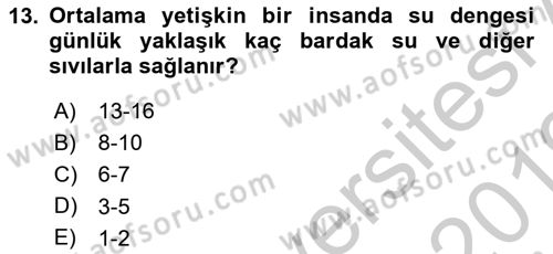 Temel Veteriner Biyokimya Dersi 2018 - 2019 Yılı Yaz Okulu Sınavı 13. Soru