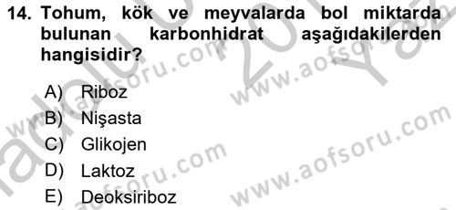 Temel Veteriner Biyokimya Dersi 2018 - 2019 Yılı Yaz Okulu Sınavı 14. Soru