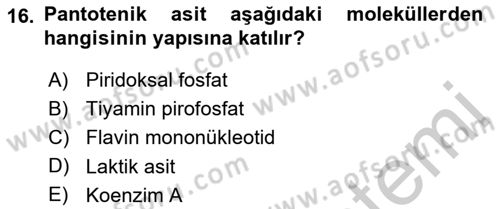 Temel Veteriner Biyokimya Dersi 2018 - 2019 Yılı Yaz Okulu Sınavı 16. Soru