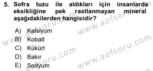 Temel Veteriner Biyokimya Dersi 2018 - 2019 Yılı Yaz Okulu Sınavı 5. Soru