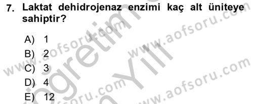 Temel Veteriner Biyokimya Dersi 2018 - 2019 Yılı Yaz Okulu Sınavı 7. Soru