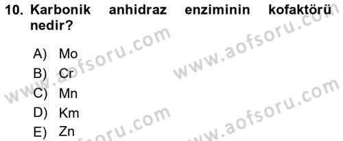 Temel Veteriner Biyokimya Dersi 2020 - 2021 Yılı Yaz Okulu Sınav Soruları 10. Soru