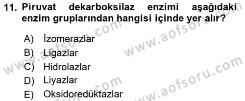 Temel Veteriner Biyokimya Dersi 2020 - 2021 Yılı Yaz Okulu Sınav Soruları 11. Soru