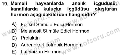 Temel Veteriner Biyokimya Dersi 2020 - 2021 Yılı Yaz Okulu Sınav Soruları 19. Soru