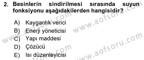 Temel Veteriner Biyokimya Dersi 2020 - 2021 Yılı Yaz Okulu Sınav Soruları 2. Soru