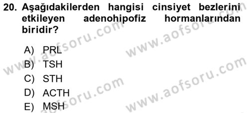 Temel Veteriner Biyokimya Dersi 2020 - 2021 Yılı Yaz Okulu Sınav Soruları 20. Soru