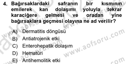 Temel Veteriner Biyokimya Dersi 2020 - 2021 Yılı Yaz Okulu Sınav Soruları 4. Soru