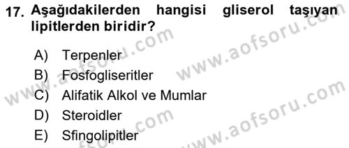Temel Veteriner Biyokimya Dersi 2021 - 2022 Yılı (Vize) Ara Sınav Soruları 17. Soru